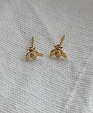 Load image into Gallery viewer, Honey Studs