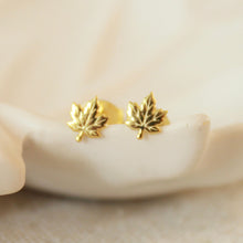 Load image into Gallery viewer, Maple Studs