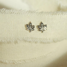 Load image into Gallery viewer, Maple Studs