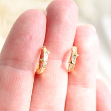 Load image into Gallery viewer, Twinkle Huggie Hoops Earrings - Elisa Maree Jewelry