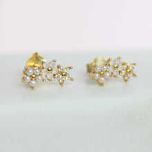 Load image into Gallery viewer, Rose Mini Climber Earrings
