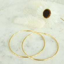 Load image into Gallery viewer, Feather Lite Skinny Hoops
